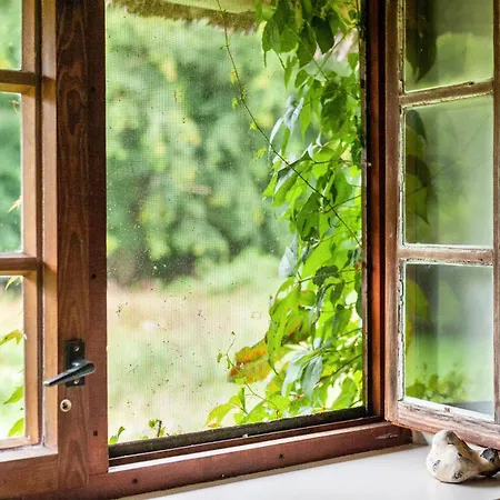 Charmante Im Natur-wald Apartmán Kalkhorst