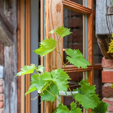 Charmante Im Natur-wald Kalkhorst