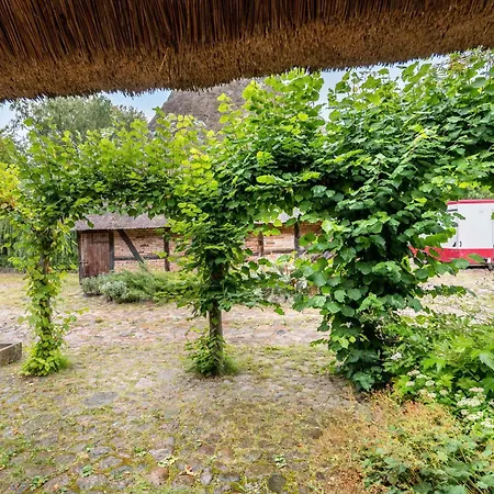Apartmán Charmante Im Natur-wald Kalkhorst