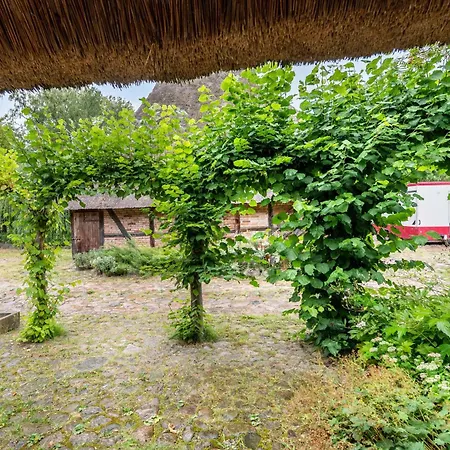 Charmante Im Natur-wald Apartament *