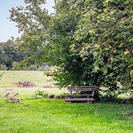Charmante Im Natur-wald